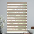 Zebra Roller Blinds